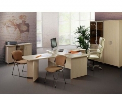 Набор мебели для руководителя Альтерна Премиум Набор 2 Орех